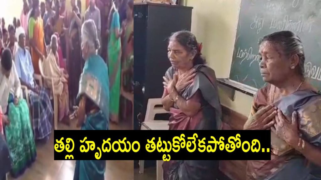 Nilgiris District Collector