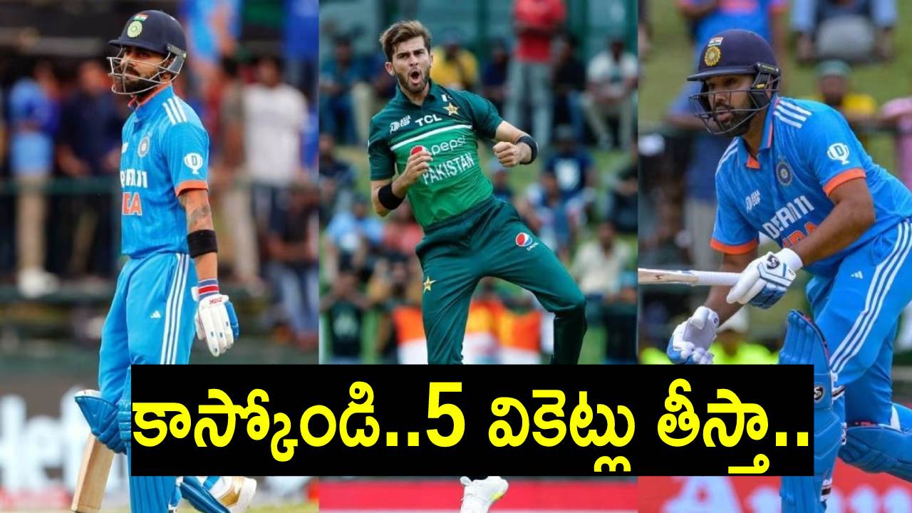 World Cup 2023 IND vs PAK : షాహీన్ షా అఫ్రిది సంచలన వ్యాఖ్యలు.. భారత్ పై 5 వికెట్లు తీస్తా.. ఆ తరువాతే సెల్ఫీలు World Cup 2023 IND vs PAK : షాహీన్ షా అఫ్రిది సంచలన వ్యాఖ్యలు.. భారత్ పై 5 వికెట్లు తీస్తా.. ఆ తరువాతే సెల్ఫీలు