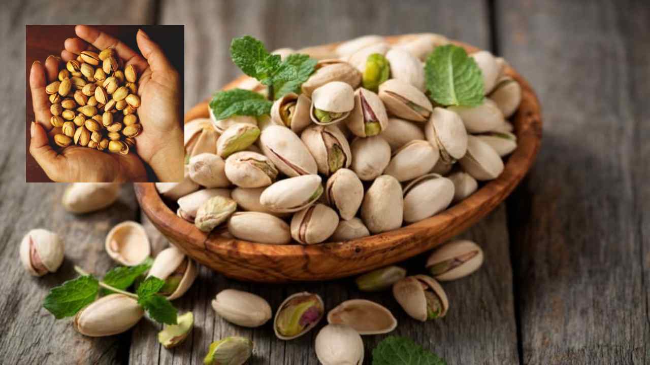 Pistachio For Blood Sugar : పిస్తాలు రక్తంలో చక్కెరను తగ్గిస్తాయా ? వాటిని మీ ఆహారంలో ఎలా చేర్చుకోవాలంటే.. Pistachio For Blood Sugar : పిస్తాలు రక్తంలో చక్కెరను తగ్గిస్తాయా ? వాటిని మీ ఆహారంలో ఎలా చేర్చుకోవాలంటే..