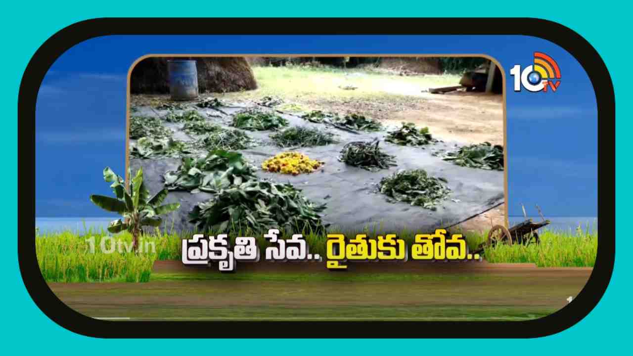 Organic Farming : రైతులకు సేంద్రియ సాగులో కషాయాల తయారీ పట్ల శిక్షణ Organic Farming : రైతులకు సేంద్రియ సాగులో కషాయాల తయారీ పట్ల శిక్షణ