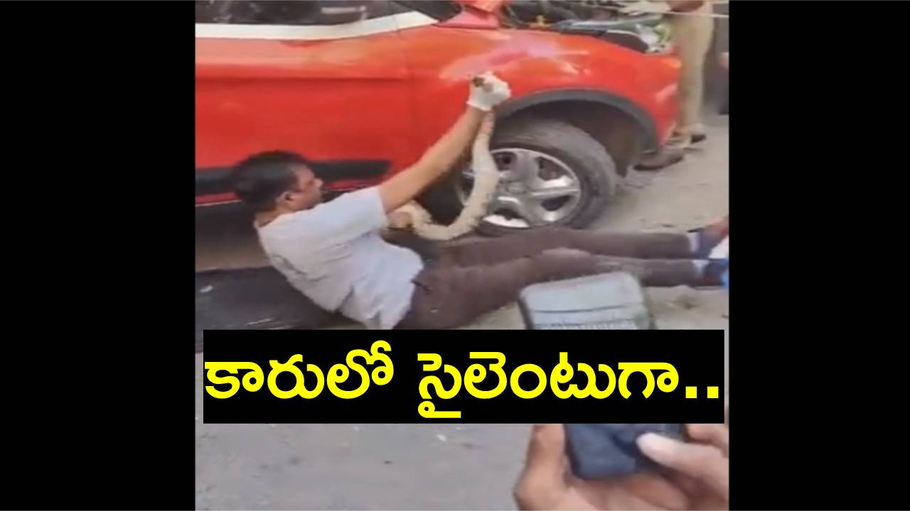 Viral Video: కారులో 6 అడుగుల కొండచిలువ.. దాన్ని చూసి వణికిపోయి.. Viral Video: కారులో 6 అడుగుల కొండచిలువ.. దాన్ని చూసి వణికిపోయి..