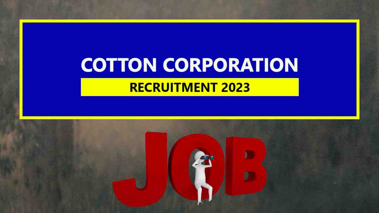 CCI Recruitment : కాటన్ కార్పొరేషన్ ఆఫ్ ఇండియా లిమిటెడ్ లో ఫీల్డ్ స్టాఫ్ పోస్టుల భర్తీ CCI Recruitment : కాటన్ కార్పొరేషన్ ఆఫ్ ఇండియా లిమిటెడ్ లో ఫీల్డ్ స్టాఫ్ పోస్టుల భర్తీ