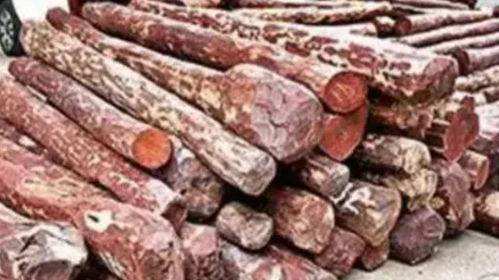 Red Sandalwood Seized