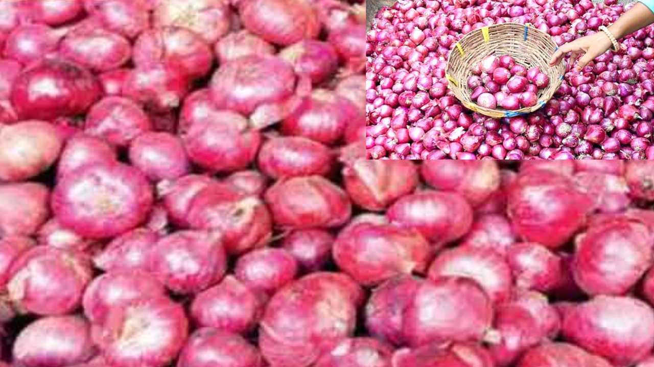 Onion : ఉల్లిగడ్డ ఎగుమతులపై ఆంక్షలు.. కేంద్ర ప్రభుత్వం కీలక నిర్ణయం Onion : ఉల్లిగడ్డ ఎగుమతులపై ఆంక్షలు.. కేంద్ర ప్రభుత్వం కీలక నిర్ణయం