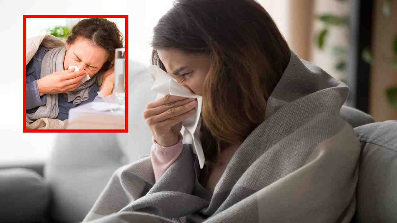 Seasonal Diseases : పెరుగుతున్న సీజనల్ వ్యాధులు.. నివారణకు అనుసరించాల్సిన సరైన పద్ధతులు Seasonal Diseases : పెరుగుతున్న సీజనల్ వ్యాధులు.. నివారణకు అనుసరించాల్సిన సరైన పద్ధతులు