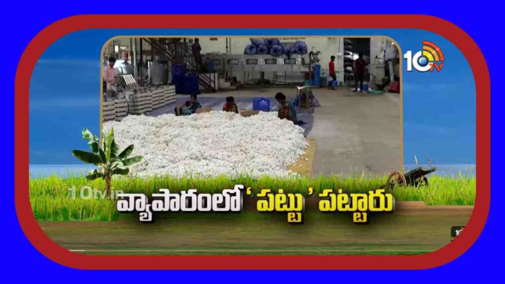 Silk Production