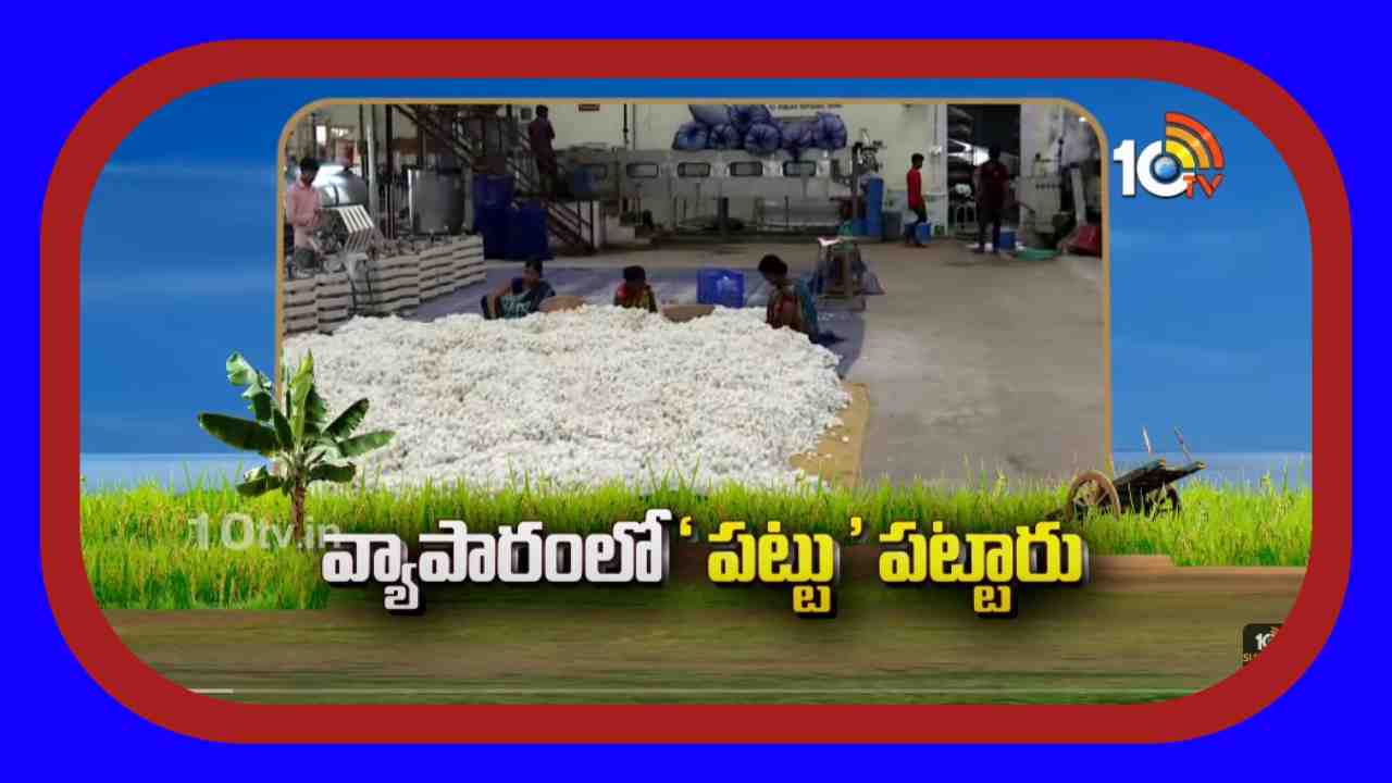 Silk Production : పట్టుదారం ఉత్పత్తిలో పట్టు సాధించిన చేనేత దంపతులు Silk Production : పట్టుదారం ఉత్పత్తిలో పట్టు సాధించిన చేనేత దంపతులు