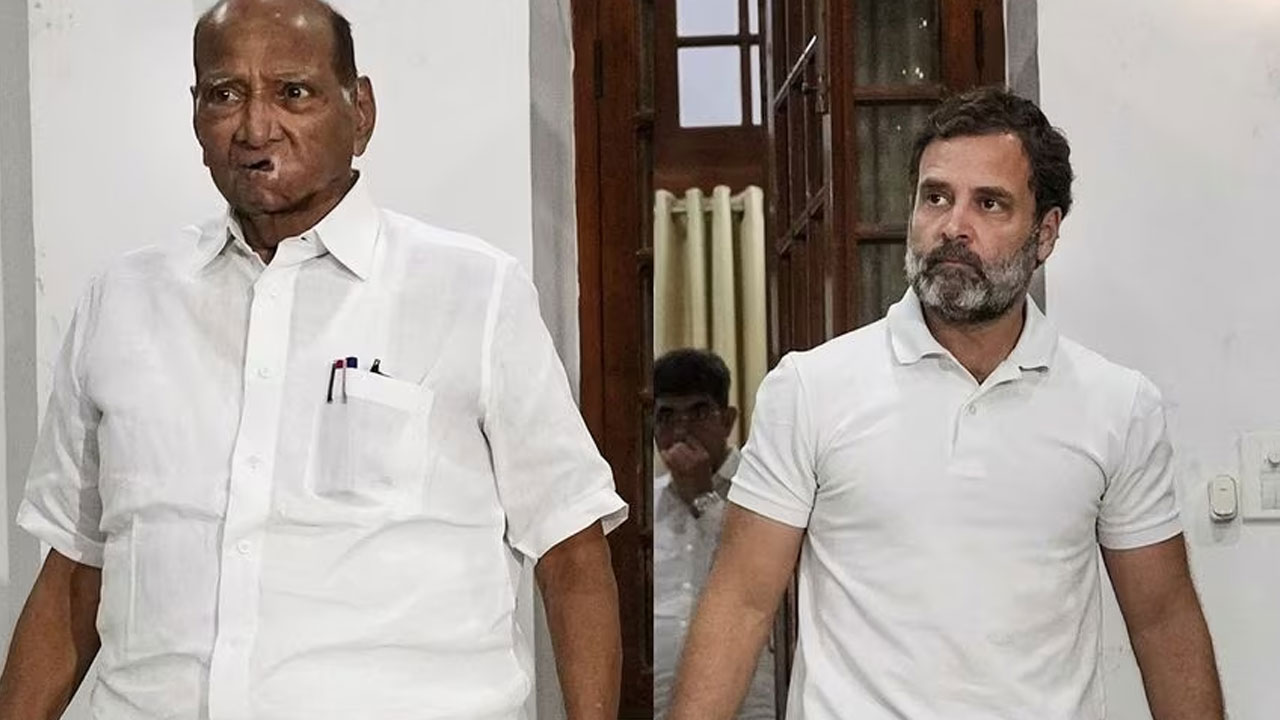 Pawar on Rahul: రాహుల్ గాంధీ నాయకత్వంపై ఆసక్తికర వ్యాఖ్యలు చేసిన శరద్ పవార్ Pawar on Rahul: రాహుల్ గాంధీ నాయకత్వంపై ఆసక్తికర వ్యాఖ్యలు చేసిన శరద్ పవార్