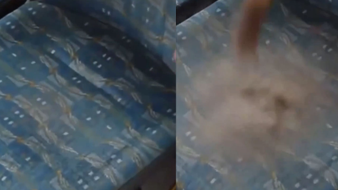 Viral Video: బస్ సీట్లు ఎందుకు ముదురు రంగులో ఉంటాయి? కారణం తెలిస్తే ఇక కూర్చోవడమే మానేస్తారు Viral Video: బస్ సీట్లు ఎందుకు ముదురు రంగులో ఉంటాయి? కారణం తెలిస్తే ఇక కూర్చోవడమే మానేస్తారు