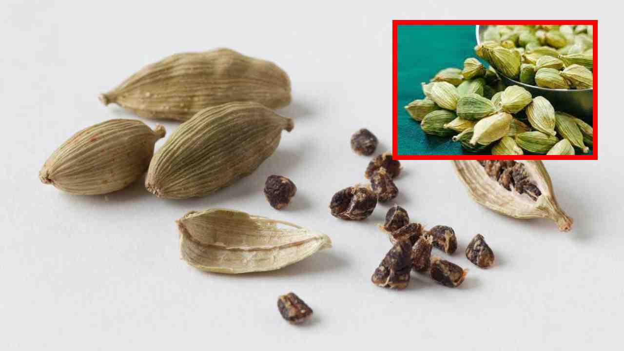 Benefits of Cardamom : జీర్ణక్రియను సులభతరం చేయటంతోపాటు రక్తపోటును తగ్గించటంలో సహాయపడే ఏలకులు ! Benefits of Cardamom : జీర్ణక్రియను సులభతరం చేయటంతోపాటు రక్తపోటును తగ్గించటంలో సహాయపడే ఏలకులు !