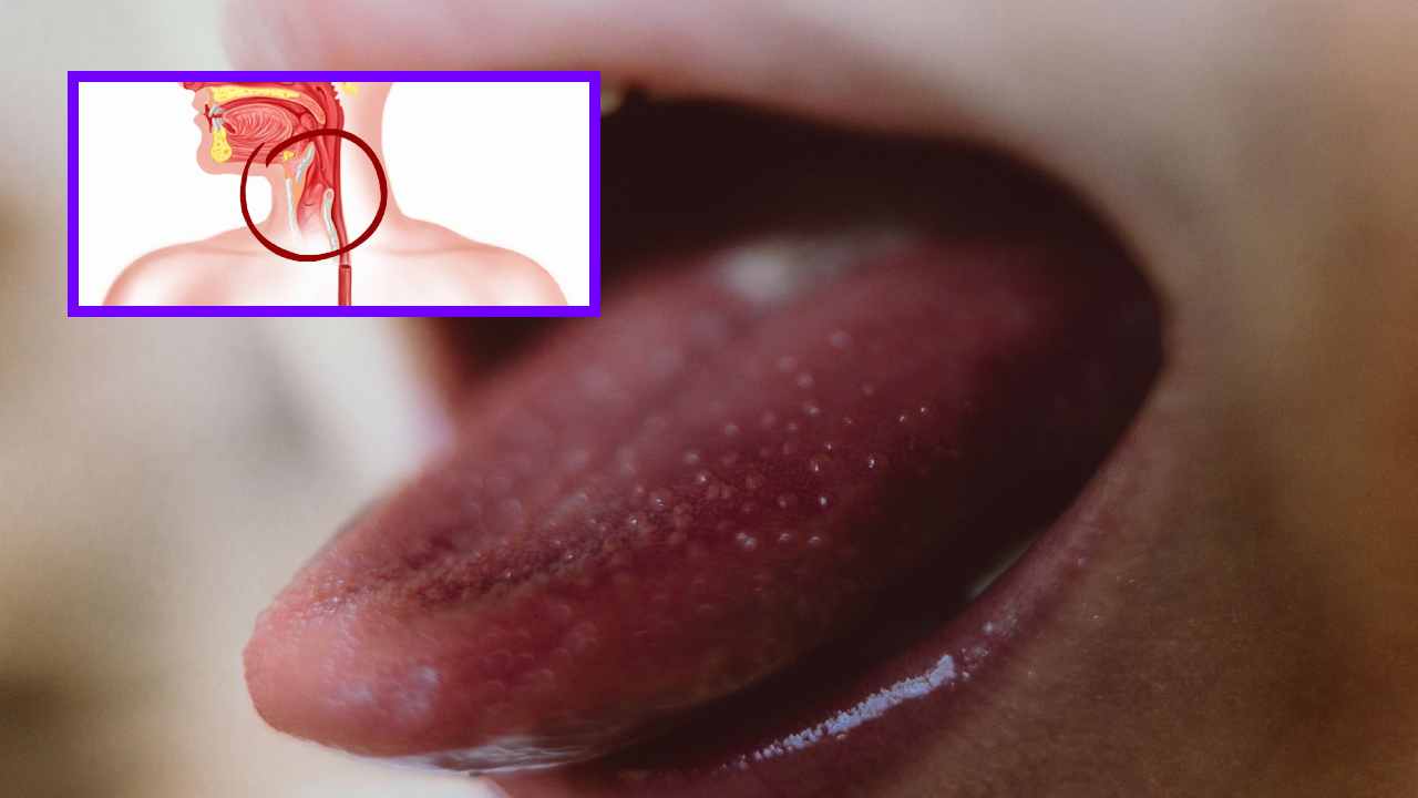 Digestion : జీర్ణక్రియ నోటితోనే మొదలవుతుందా? దంతాలు జీర్ణవ్యవస్థను ఎలా ప్రభావితం చేస్తాయో తెలుసా ? Digestion : జీర్ణక్రియ నోటితోనే మొదలవుతుందా? దంతాలు జీర్ణవ్యవస్థను ఎలా ప్రభావితం చేస్తాయో తెలుసా ?