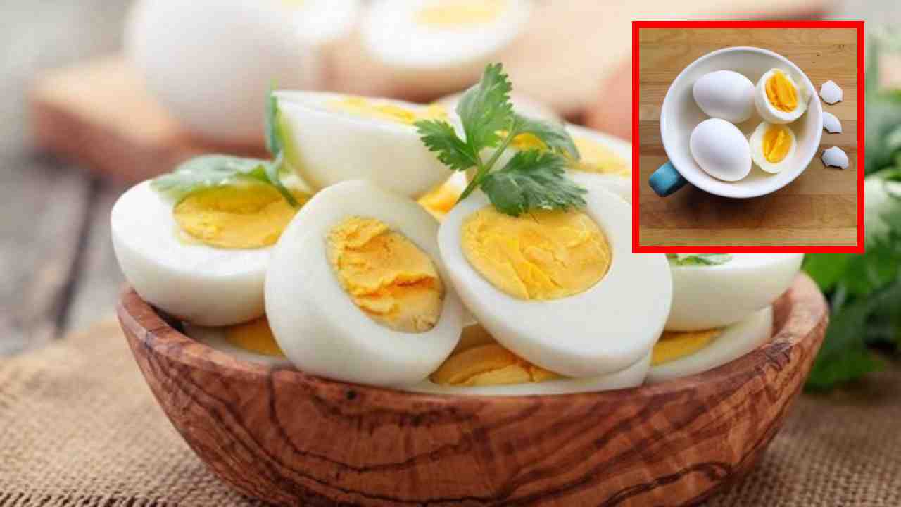 Eating Eggs : డయాబెటిక్ రోగులు గుడ్లు ఆహారంగా తీసుకోవటం వల్ల ప్రయోజనాలు కలుగుతాయన్న విషయంలో వాస్తవమెంత? Eating Eggs : డయాబెటిక్ రోగులు గుడ్లు ఆహారంగా తీసుకోవటం వల్ల ప్రయోజనాలు కలుగుతాయన్న విషయంలో వాస్తవమెంత?