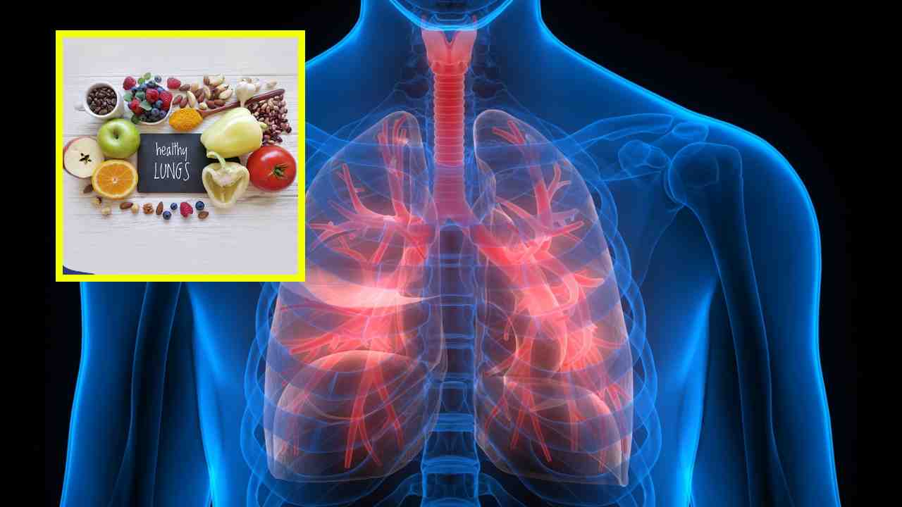 Lung Health : ఊపిరితిత్తుల ఆరోగ్యానికి దోహదపడే ఆహారాలు ! Lung Health : ఊపిరితిత్తుల ఆరోగ్యానికి దోహదపడే ఆహారాలు !