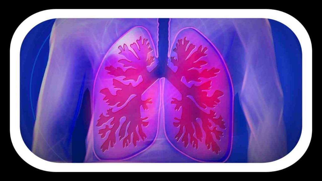 lungs healthy