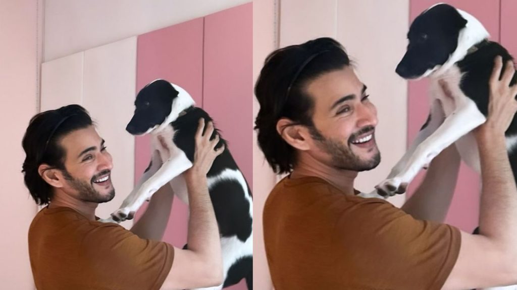 Mahesh Babu Shares a Photo with his pet Dog in New Look