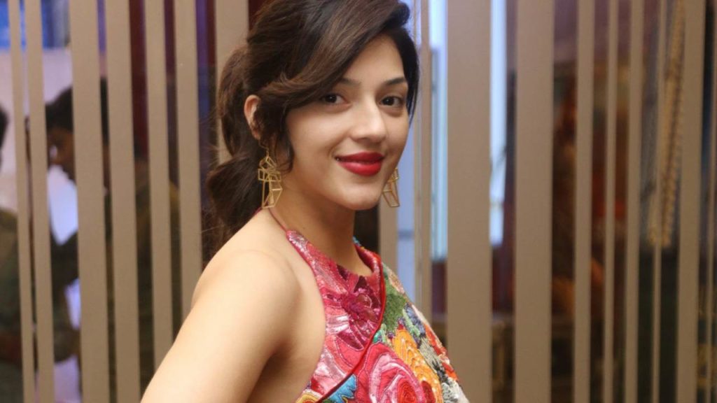 Mehreen Pirzada Fires on Trolls about her Sultan of Delhi Series