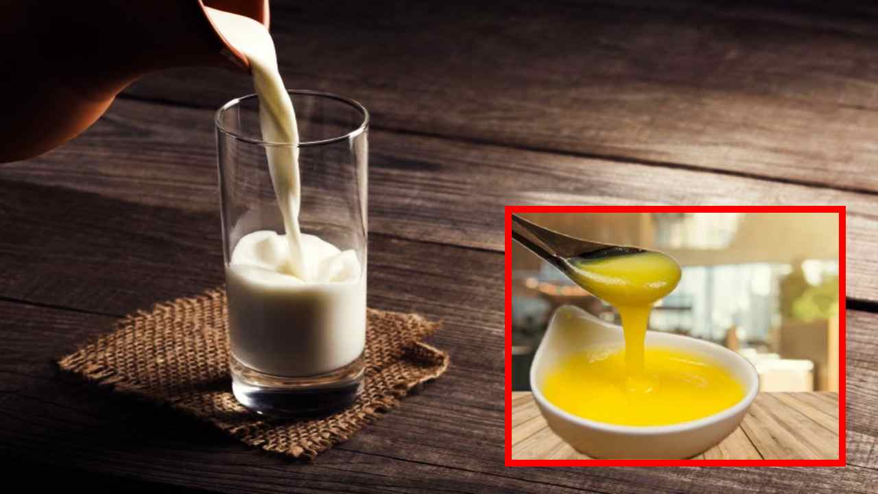 Amazing Health Benefits : పాలల్లో నెయ్యి కలుపుకుని తాగటం వల్ల కలిగే అద్భుతమైన ఆరోగ్యప్రయోజనాలు తెలుసా ? Amazing Health Benefits : పాలల్లో నెయ్యి కలుపుకుని తాగటం వల్ల కలిగే అద్భుతమైన ఆరోగ్యప్రయోజనాలు తెలుసా ?
