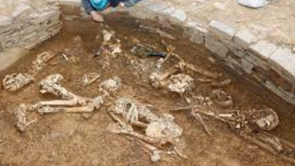 old tomb skeletons