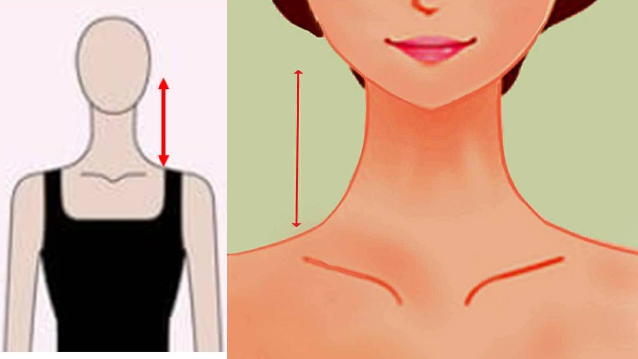 Persons Neck : మెడ పొడవును బట్టి వారు ఎలాంటివారో చెప్పొచ్చట..! Persons Neck : మెడ పొడవును బట్టి వారు ఎలాంటివారో చెప్పొచ్చట..!