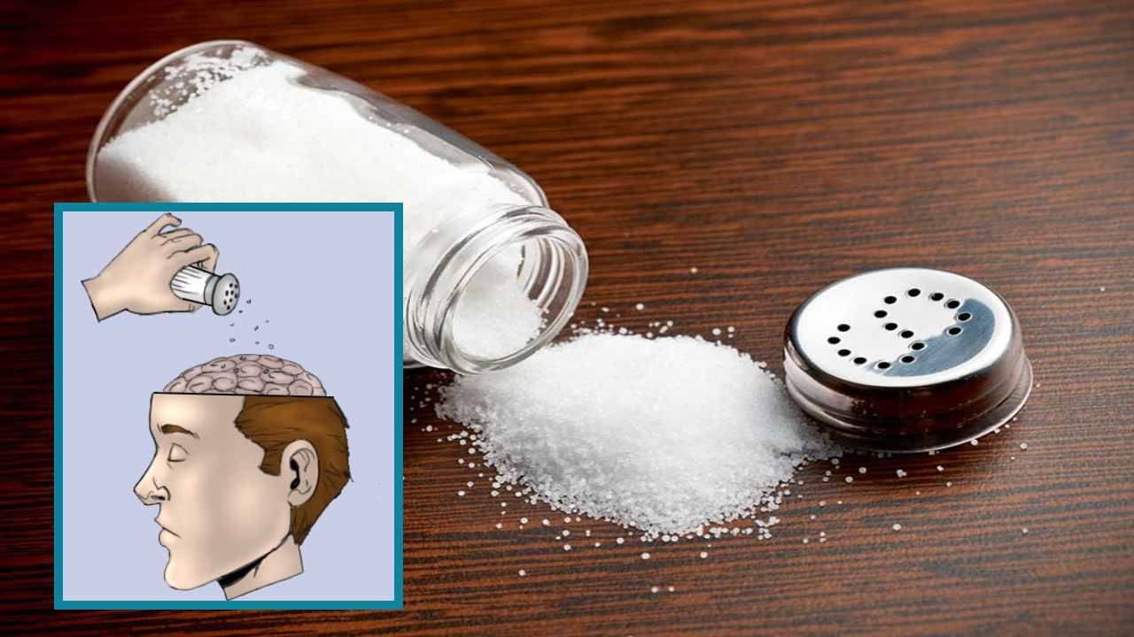 Salt Intake : అధిక ఉప్పుతో మెదడు పనితీరుపై ప్రభావం.. ఈ రెండింటికి మధ్య ఉన్న సంబంధం తెలుసా ? Salt Intake : అధిక ఉప్పుతో మెదడు పనితీరుపై ప్రభావం.. ఈ రెండింటికి మధ్య ఉన్న సంబంధం తెలుసా ?
