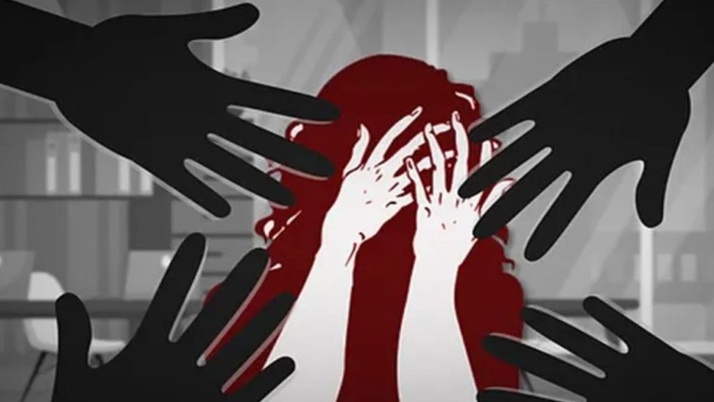 school girl kidnap and assault