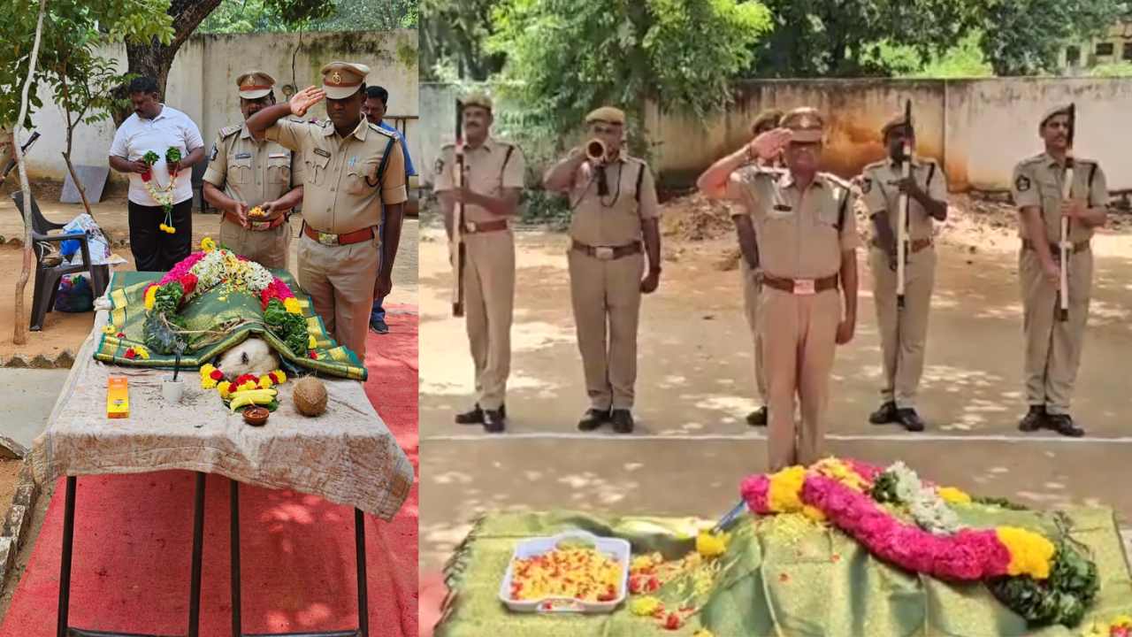 Chittoor : పోలీస్ డాగ్ కి అధికారిక లాంఛనాలతో అంత్యక్రియలు Chittoor : పోలీస్ డాగ్ కి అధికారిక లాంఛనాలతో అంత్యక్రియలు