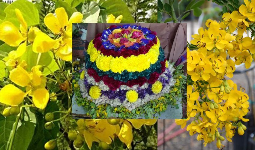 Bathukamma 2023 : తంగేడు పువ్వులకు బతుకమ్మకు ఉన్న సంబంధం.. Bathukamma 2023 : తంగేడు పువ్వులకు బతుకమ్మకు ఉన్న సంబంధం..