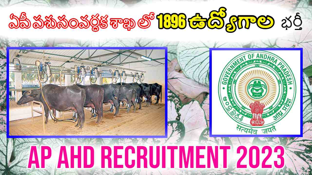 AP AHD Recruitment 2023 : ఏపీ పశుసంవర్ధక శాఖ లో 1896 ఉద్యోగాల భర్తీ AP AHD Recruitment 2023 : ఏపీ పశుసంవర్ధక శాఖ లో 1896 ఉద్యోగాల భర్తీ