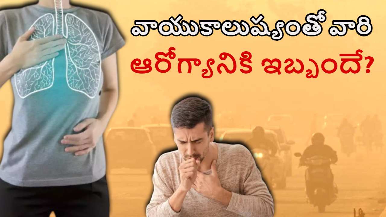 Air Pollution : వాయు కాలుష్యం వల్ల హార్ట్ పేషెంట్, లంగ్ క్యాన్సర్ , బ్రెయిన్ స్ట్రోక్ రోగుల్లో ఎక్కువగా ఇబ్బంది పడేది ఎవరంటే? Air Pollution : వాయు కాలుష్యం వల్ల హార్ట్ పేషెంట్, లంగ్ క్యాన్సర్ , బ్రెయిన్ స్ట్రోక్ రోగుల్లో ఎక్కువగా ఇబ్బంది పడేది ఎవరంటే?