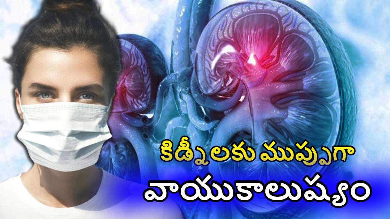 Air Quality and Kidney Health : వాయు కాలుష్యంతో కిడ్నీలకు ముప్పే ! తస్మాత్ జాగ్రత్త Air Quality and Kidney Health : వాయు కాలుష్యంతో కిడ్నీలకు ముప్పే ! తస్మాత్ జాగ్రత్త