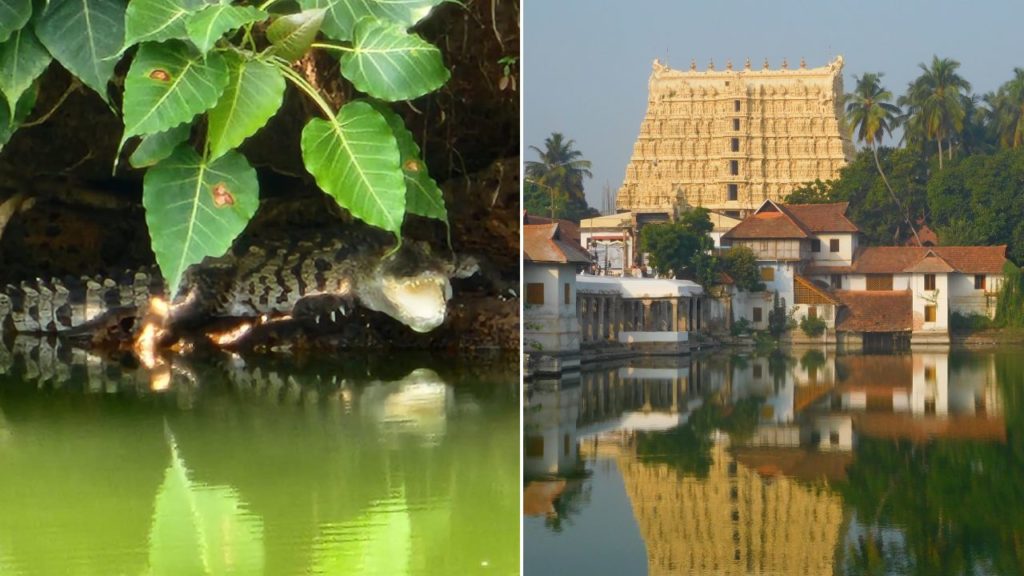 Ananthapadmanabha Swamy Temple