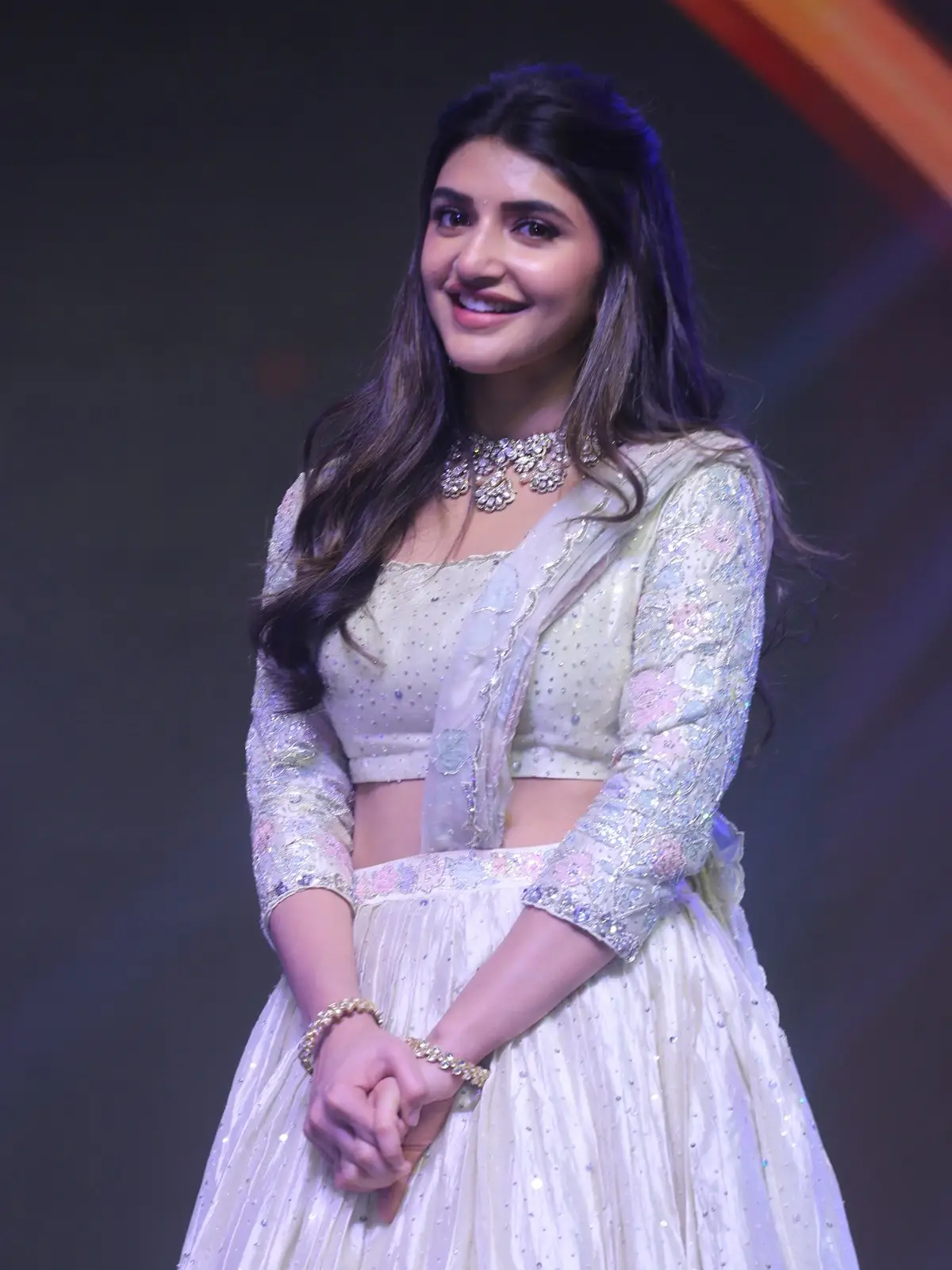 Balakrishna Sreeleela Bhagavanth Kesari success meet photos