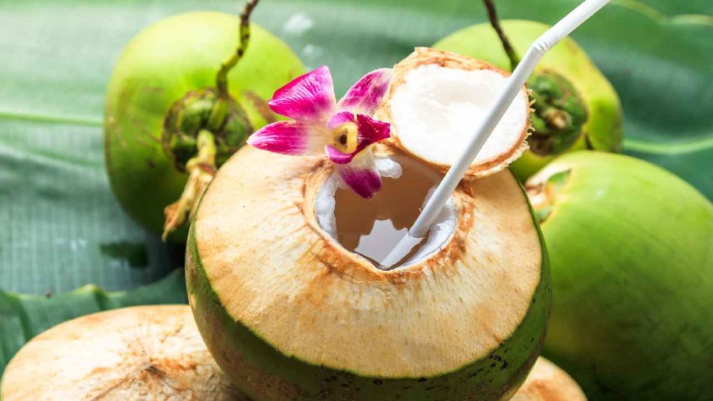 Best Time To Drink Coconut Water