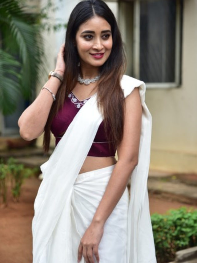 >భానుశ్రీ చీర సోయగాలు..
