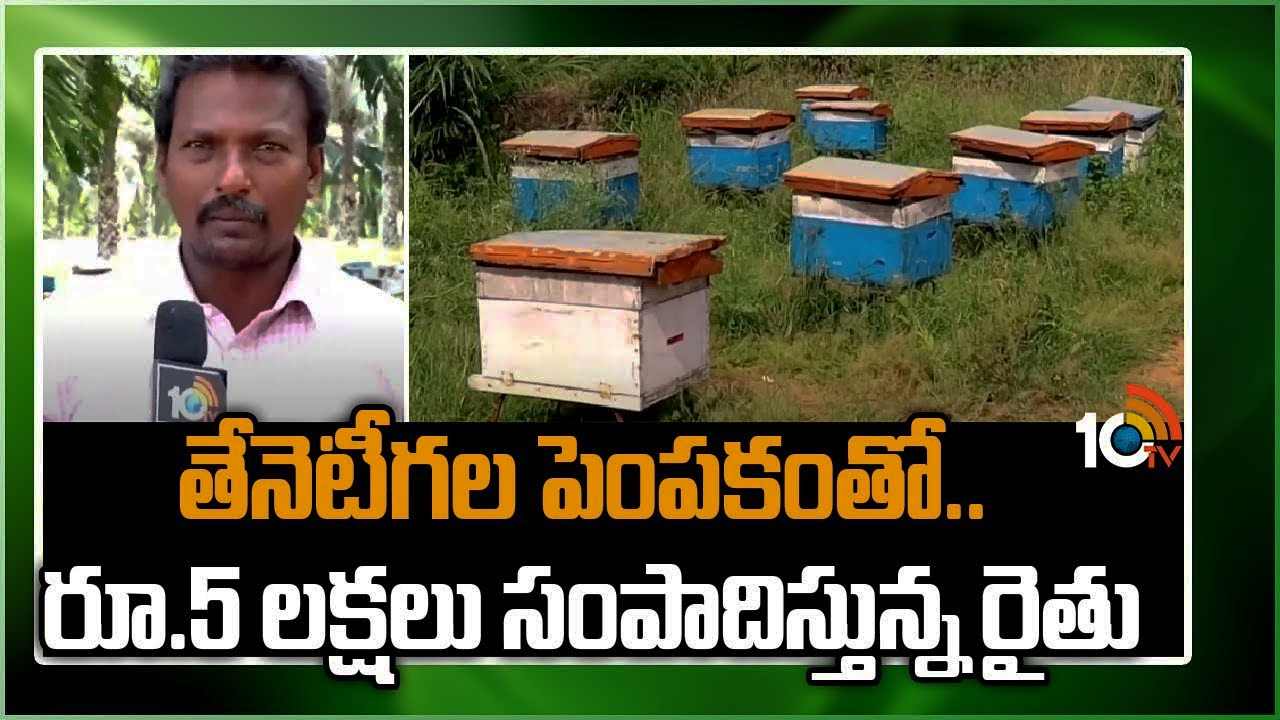 Harvesting Honey : ఏడాదికి రూ. 5 లక్షల నికర ఆదాయం.. స్వయం ఉపాధిగా తేనెటీగల పెంపకం Harvesting Honey : ఏడాదికి రూ. 5 లక్షల నికర ఆదాయం.. స్వయం ఉపాధిగా తేనెటీగల పెంపకం