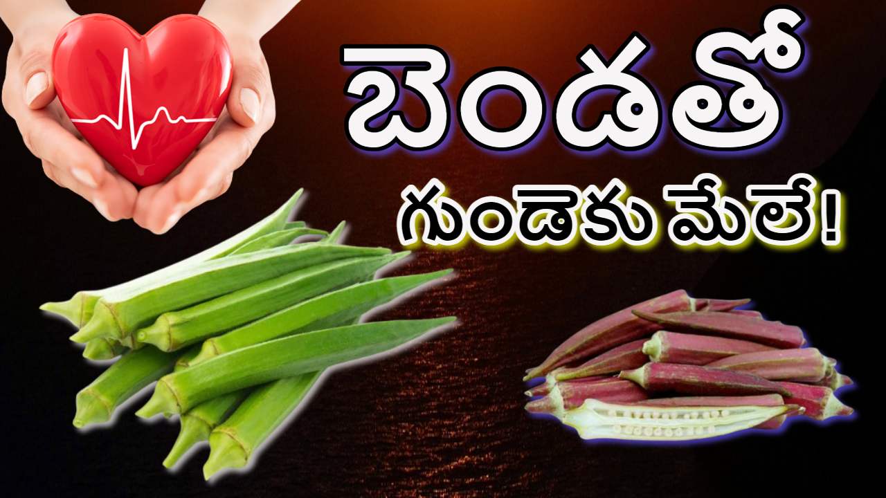 Health Benefits of Okra : గుండె ఆరోగ్యంగా ఉండాలంటే ఈ కూరగాయ ఒక్కటి చాలు ! Health Benefits of Okra : గుండె ఆరోగ్యంగా ఉండాలంటే ఈ కూరగాయ ఒక్కటి చాలు !