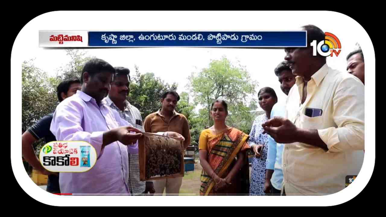 Honey Products : తేనె ఉత్పత్తుల తయారీ.. అధిక లాభాలు ఆర్జిస్తున్న రైతు Honey Products : తేనె ఉత్పత్తుల తయారీ.. అధిక లాభాలు ఆర్జిస్తున్న రైతు
