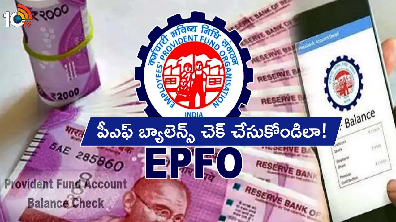 EPFO Credit Interest : మీ అకౌంట్లో ఈపీఎఫ్ఓ వడ్డీ డబ్బులు పడ్డాయా? ఆన్లైన్లో పీఎఫ్ బ్యాలెన్స్ చేసుకోండి.. ఇదిగో ప్రాసెస్! EPFO Credit Interest : మీ అకౌంట్లో ఈపీఎఫ్ఓ వడ్డీ డబ్బులు పడ్డాయా? ఆన్లైన్లో పీఎఫ్ బ్యాలెన్స్ చేసుకోండి.. ఇదిగో ప్రాసెస్!