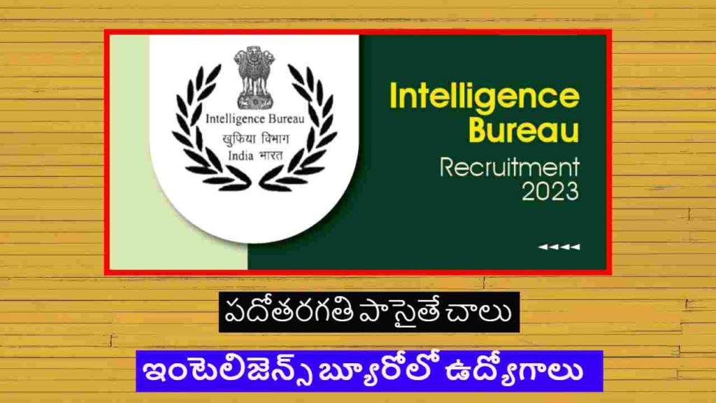 IB Recruitment
