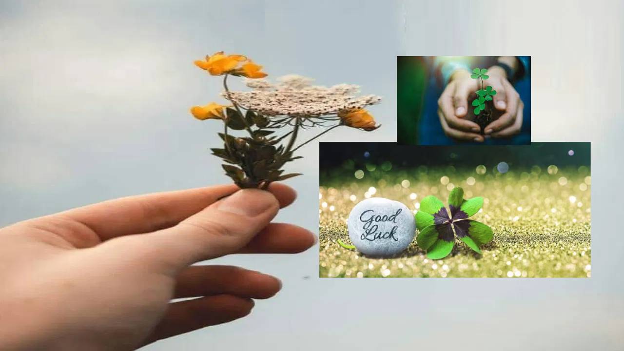 Luck Signs : అదృష్టం వరించే ముందు కనిపించే సంకేతాలు .. వీటిని గుర్తిస్తే జీవితమే మారిపోతుంది.. Luck Signs : అదృష్టం వరించే ముందు కనిపించే సంకేతాలు .. వీటిని గుర్తిస్తే జీవితమే మారిపోతుంది..