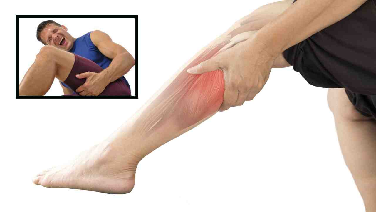 Muscle Cramps : రాత్రిసమయంలో కండరాల తిమ్మిరి,పట్టుకుపోవటం వంటి సమస్యలతో బాధపడుతున్నారా ? సమస్యను తగ్గించే అద్భుతమైన ఆహారాలు మీకోసం ! Muscle Cramps : రాత్రిసమయంలో కండరాల తిమ్మిరి,పట్టుకుపోవటం వంటి సమస్యలతో బాధపడుతున్నారా ? సమస్యను తగ్గించే అద్భుతమైన ఆహారాలు మీకోసం !