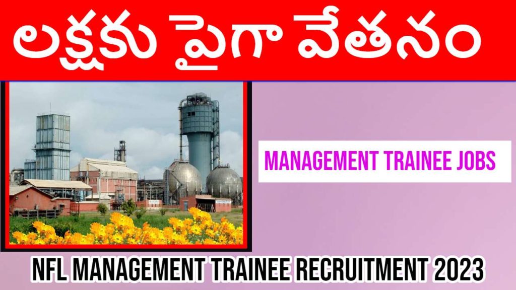 NFL Management Trainee Recruitment 2023