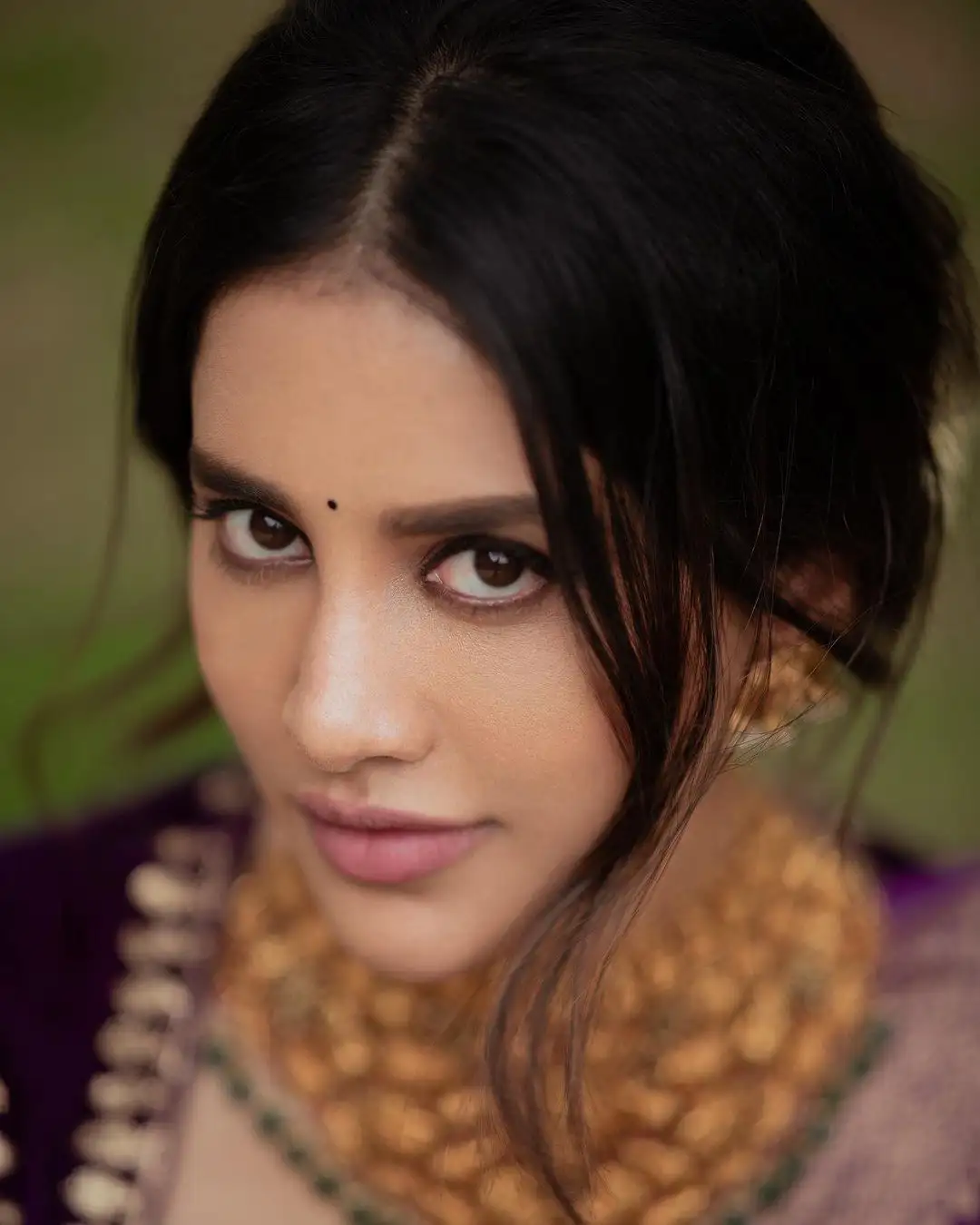 Nabha Natesh Diwali Special Photos in Silk Saree