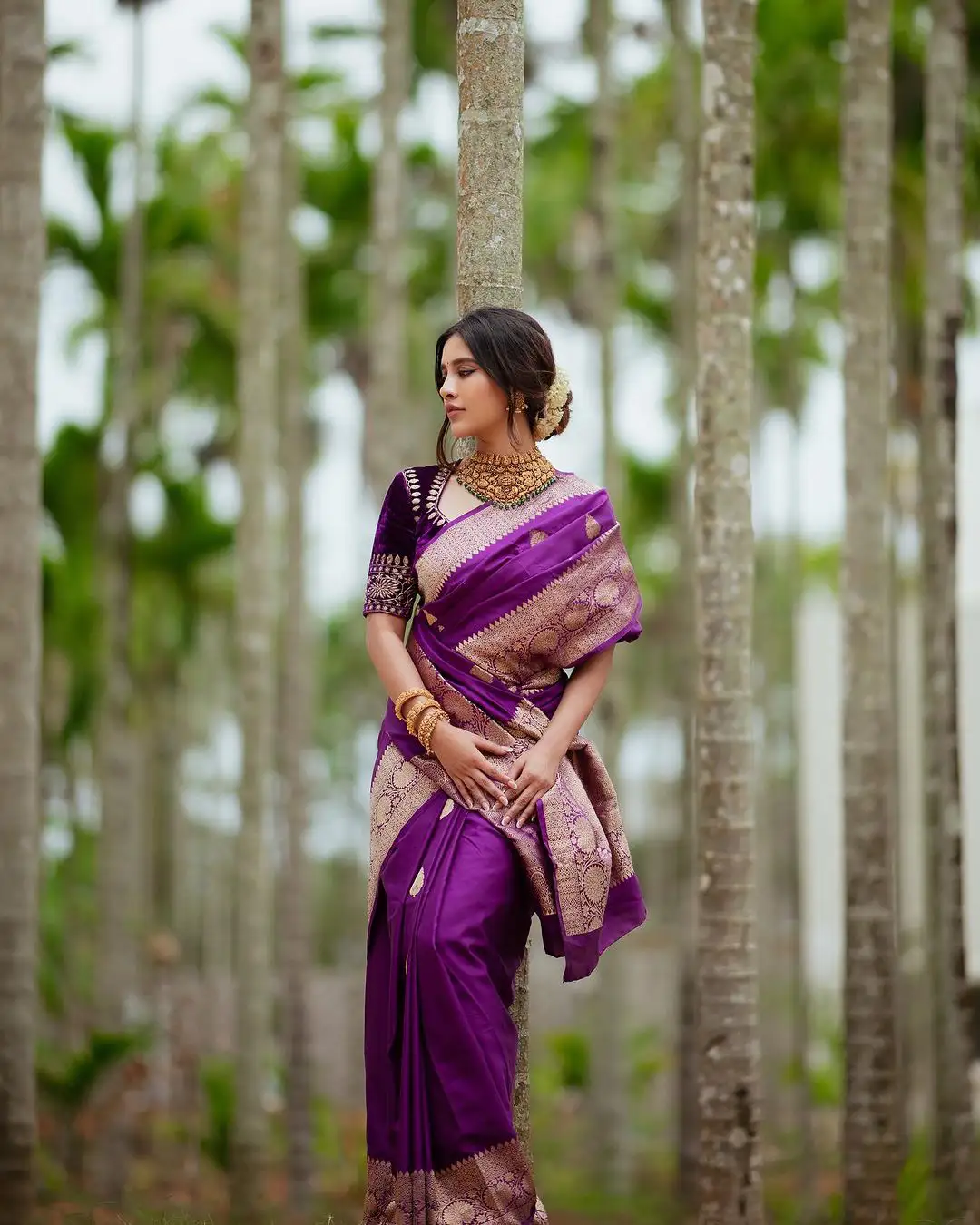Nabha Natesh Diwali Special Photos in Silk Saree