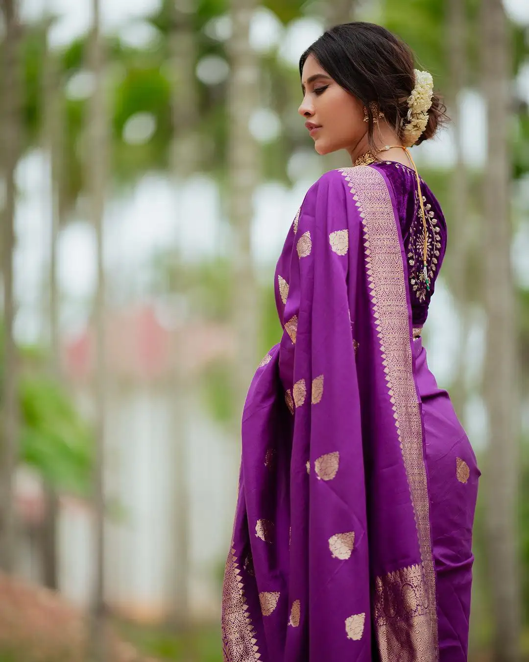 Nabha Natesh Diwali Special Photos in Silk Saree