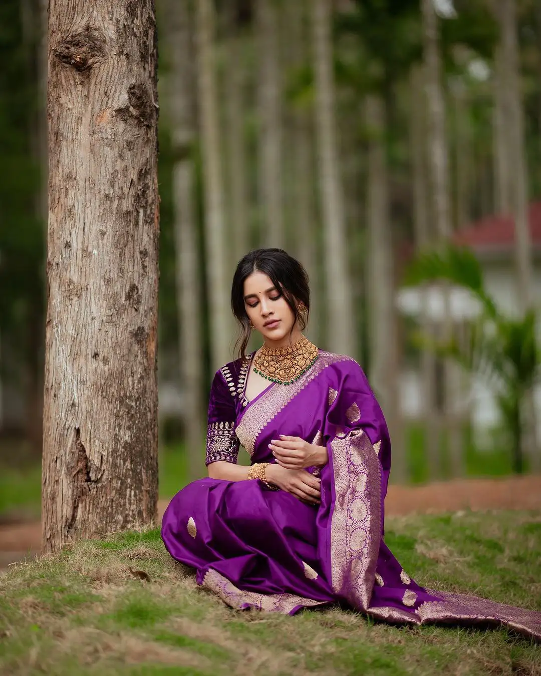 Nabha Natesh Diwali Special Photos in Silk Saree