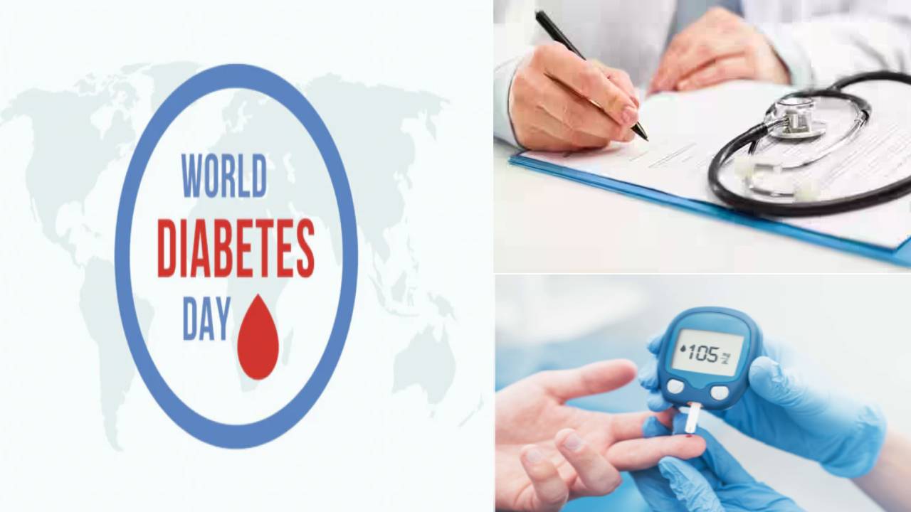 World Diabetes Day 2023 : ఆరోగ్యకరమైన జీవనశైలి డయాబెటీస్ నివారణకు మంచి మార్గం.. నేడు ప్రపంచ మధుమేహ దినోత్సవం World Diabetes Day 2023 : ఆరోగ్యకరమైన జీవనశైలి డయాబెటీస్ నివారణకు మంచి మార్గం.. నేడు ప్రపంచ మధుమేహ దినోత్సవం