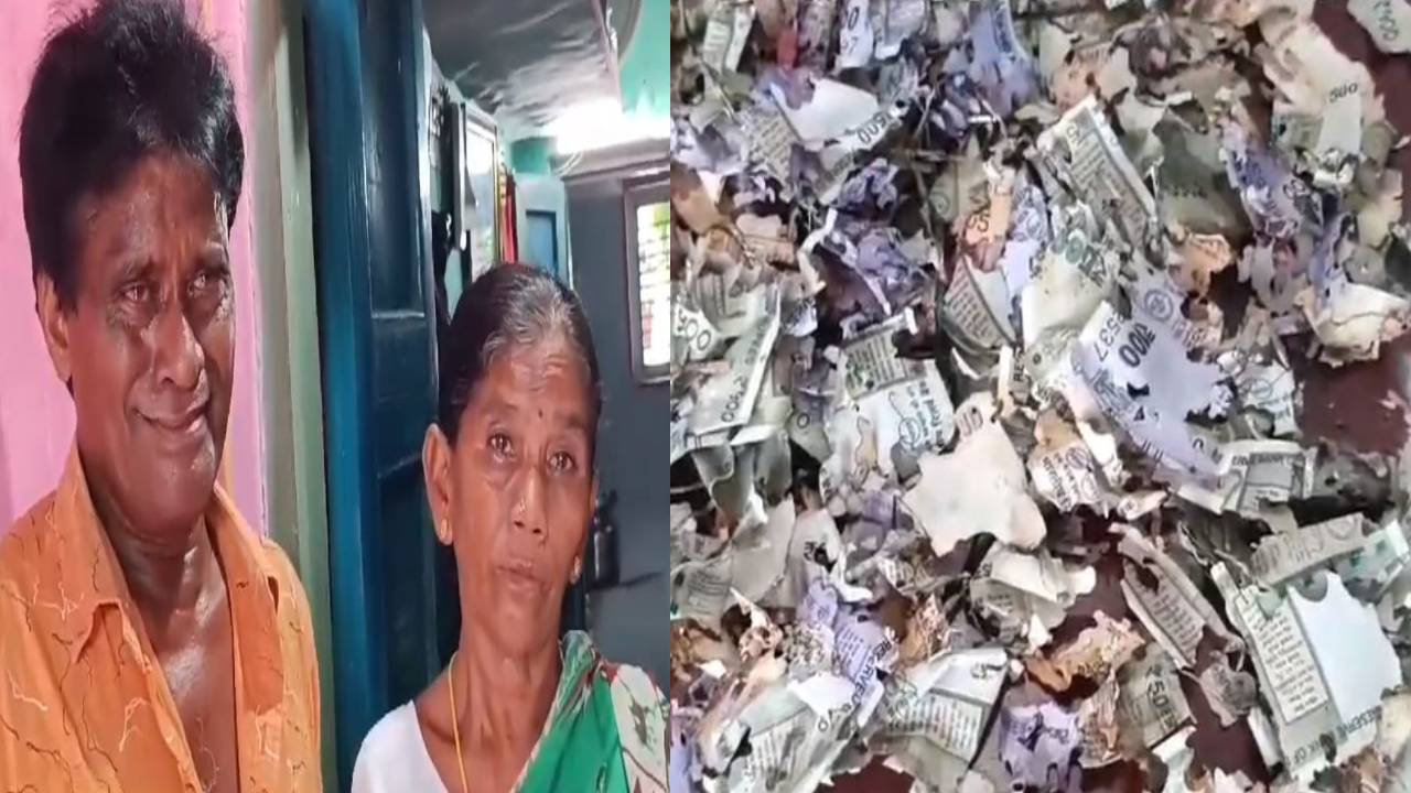 Andhra Pradesh : కూతురి పెళ్లికోసం దాచిన రూ.2 లక్షల సొమ్ము కొరికేసిన ఎలుకలు.. కన్నీరు మున్నీరైన కుటుంబం Andhra Pradesh : కూతురి పెళ్లికోసం దాచిన రూ.2 లక్షల సొమ్ము కొరికేసిన ఎలుకలు.. కన్నీరు మున్నీరైన కుటుంబం