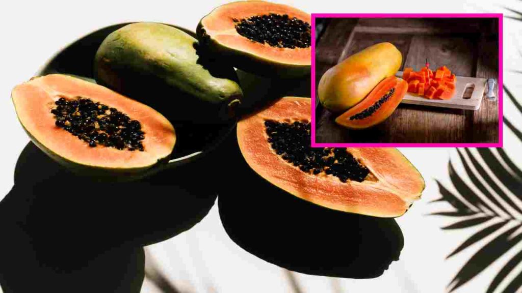 PAPAYA