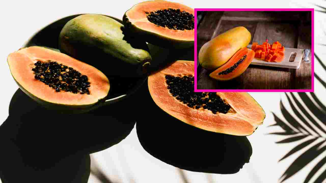 Angel Fruit Health Benefits : ఏంజెల్ ఫ్రూట్ గురించి తెలుసా ? దాని ఆరోగ్య ప్రయోజనాలు తెలిస్తే అసలు వదిలిపెట్టరు ! Angel Fruit Health Benefits : ఏంజెల్ ఫ్రూట్ గురించి తెలుసా ? దాని ఆరోగ్య ప్రయోజనాలు తెలిస్తే అసలు వదిలిపెట్టరు !